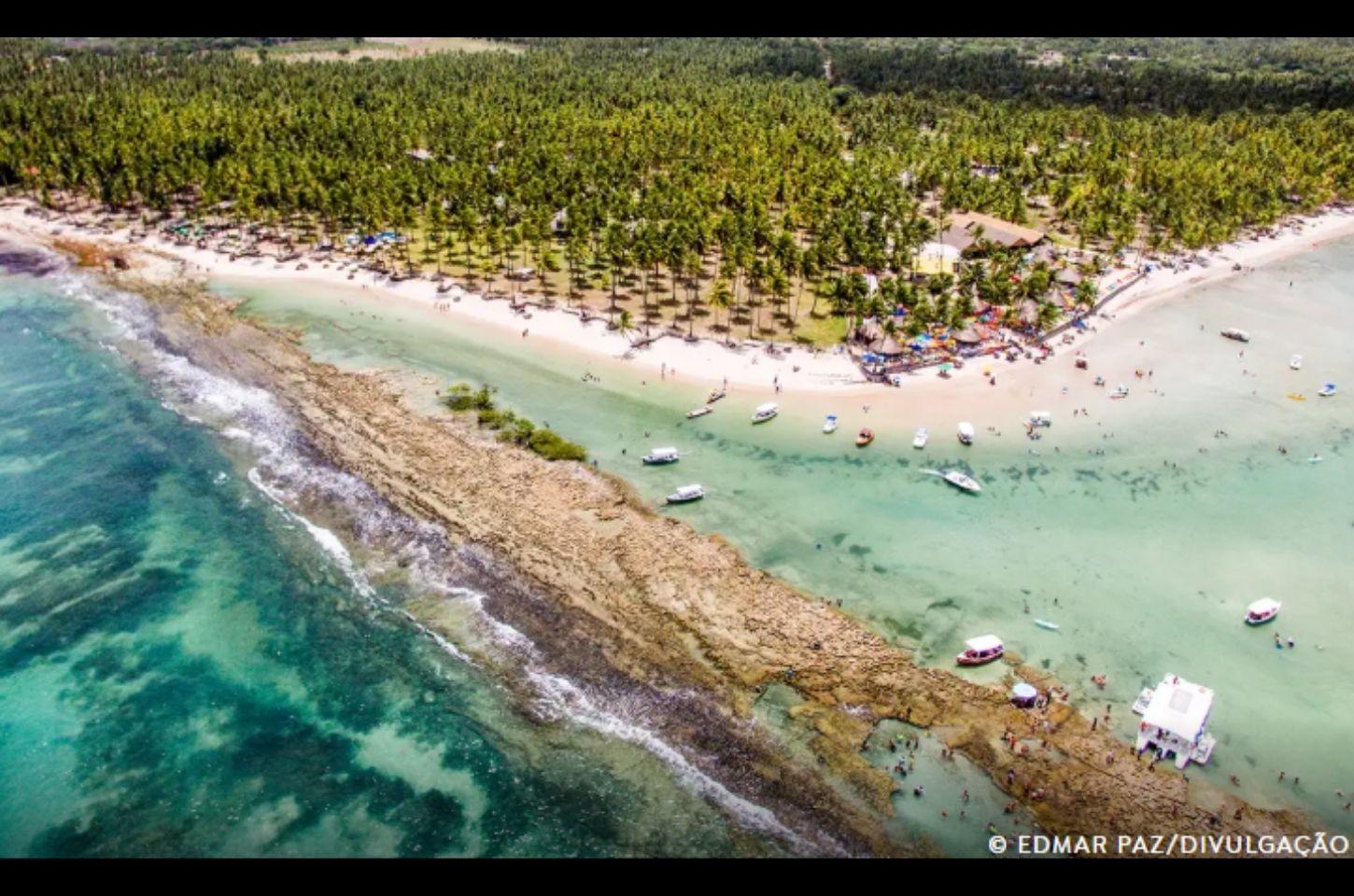 Barulho de barco e de turistas afeta comunicação de peixes, diz estudo