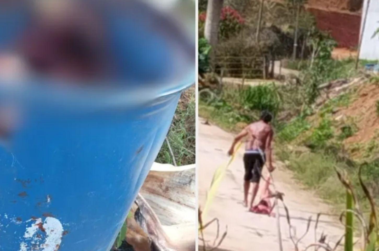 Homem é preso no Sul do ES por suspeita de torturar e matar cadela comunitária