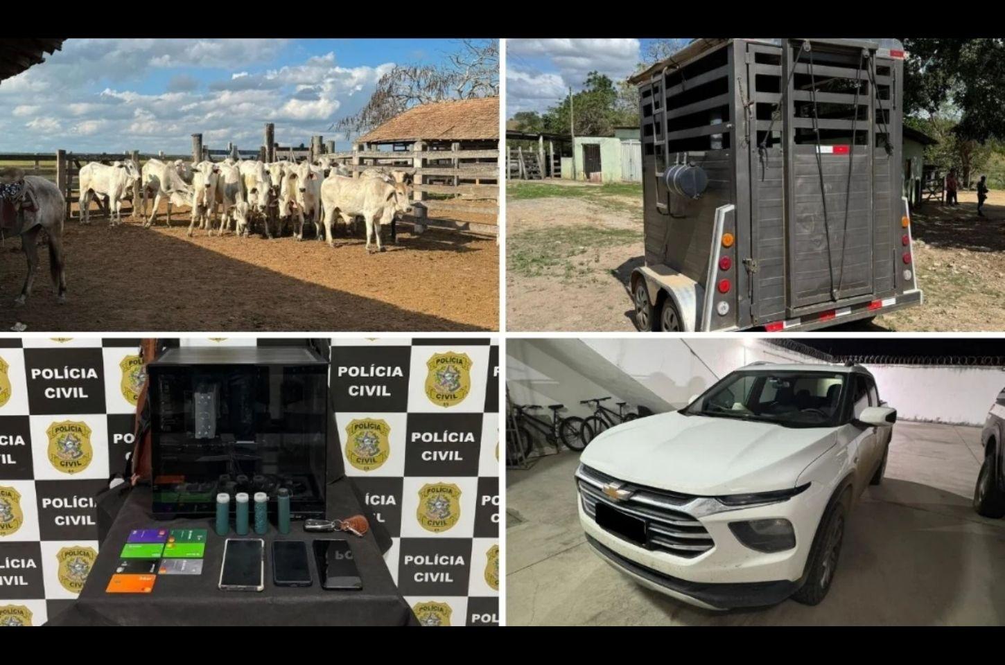 Operação prende investigado por furto de 216 cabeças de gado e apreende veículos, armas e cavalos no Norte do ES