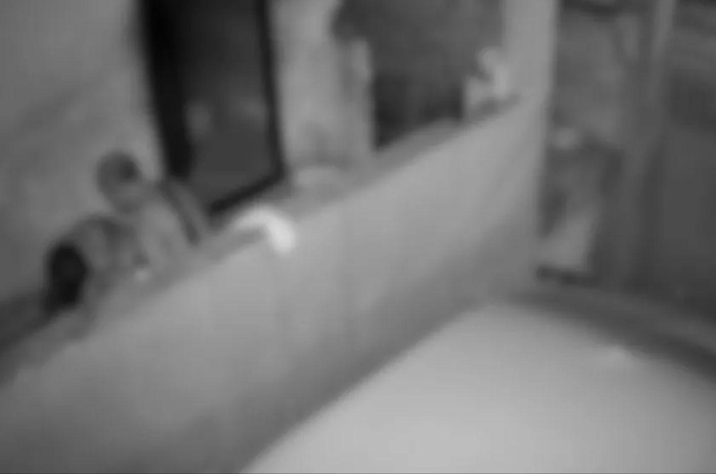 Três crianças são resgatadas pelo Conselho Tutelar após mãe ser agredida em Vila Velha