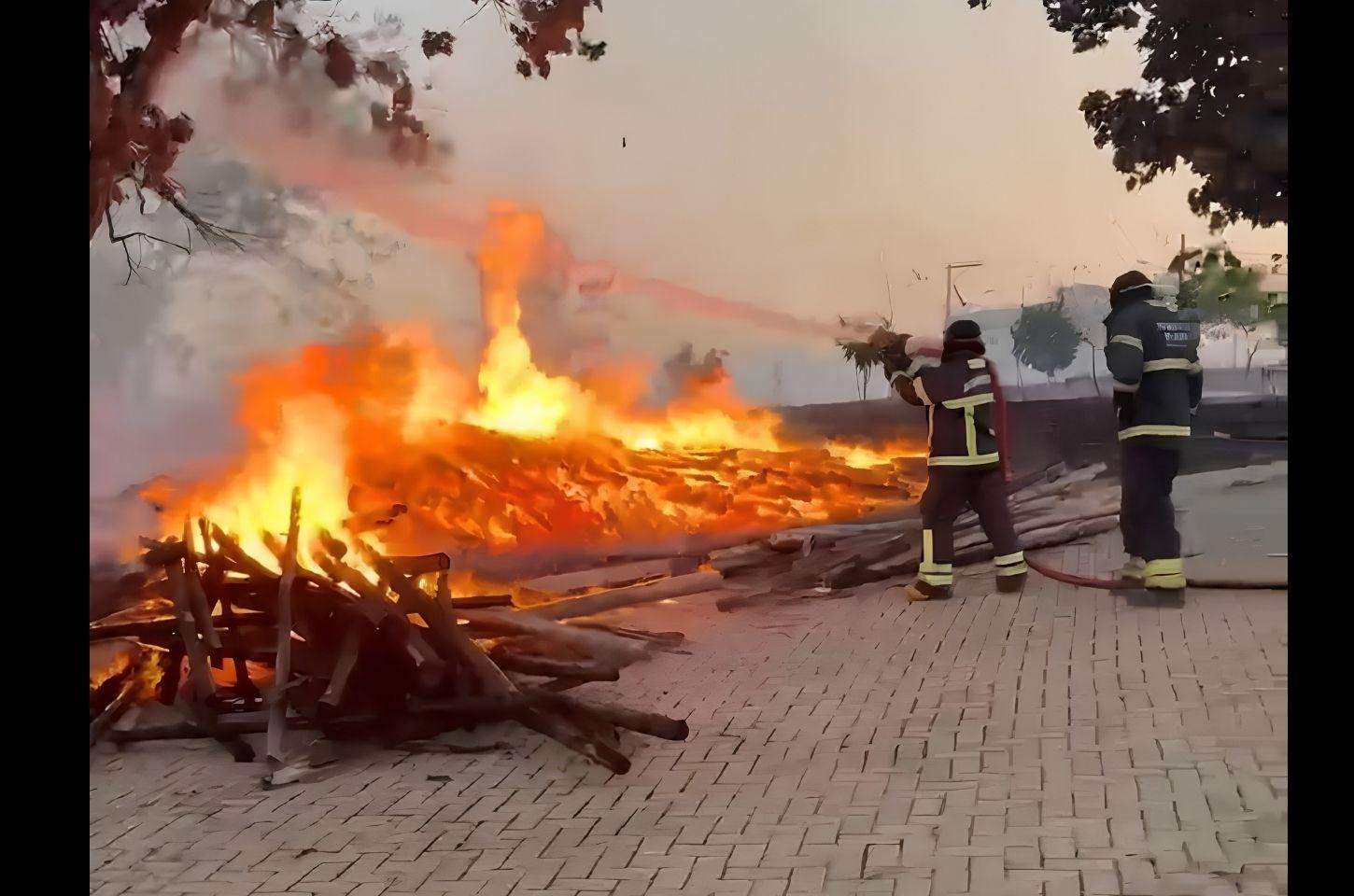 Bombeiros preservam árvore centenária durante incêndio em área de vegetação em Colatina