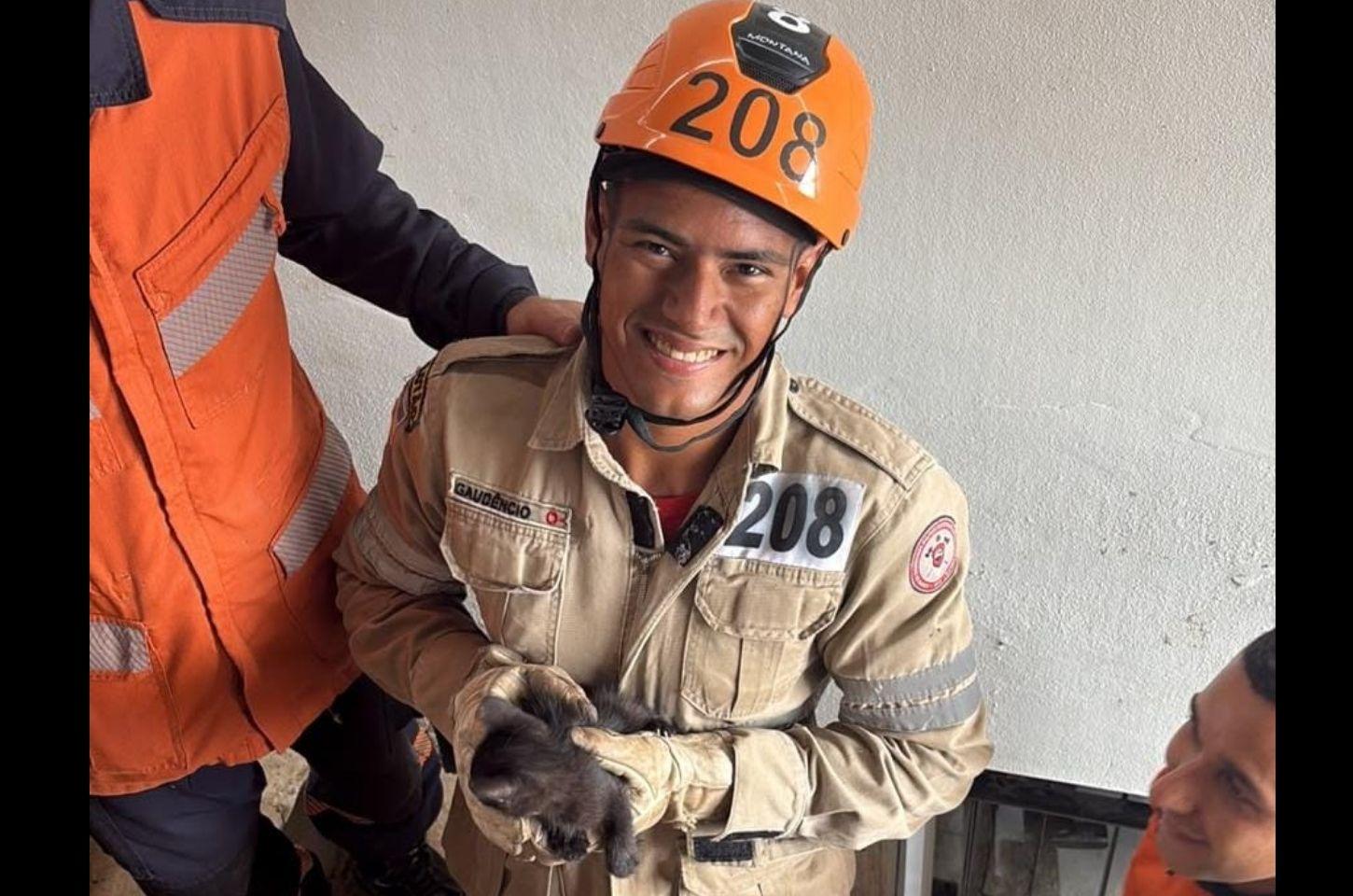 Filhote de gato é resgatado após ficar dois dias preso em buraco em Colatina