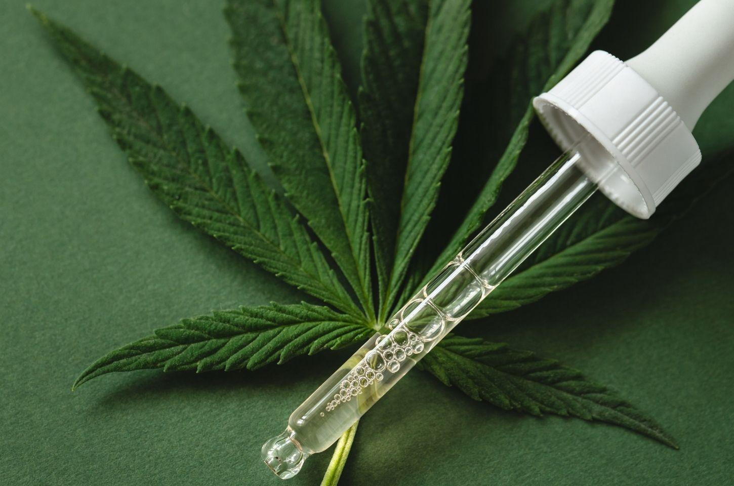 Importação de produtos de cannabis medicinal cresce quase 29% no primeiro semestre de 2026