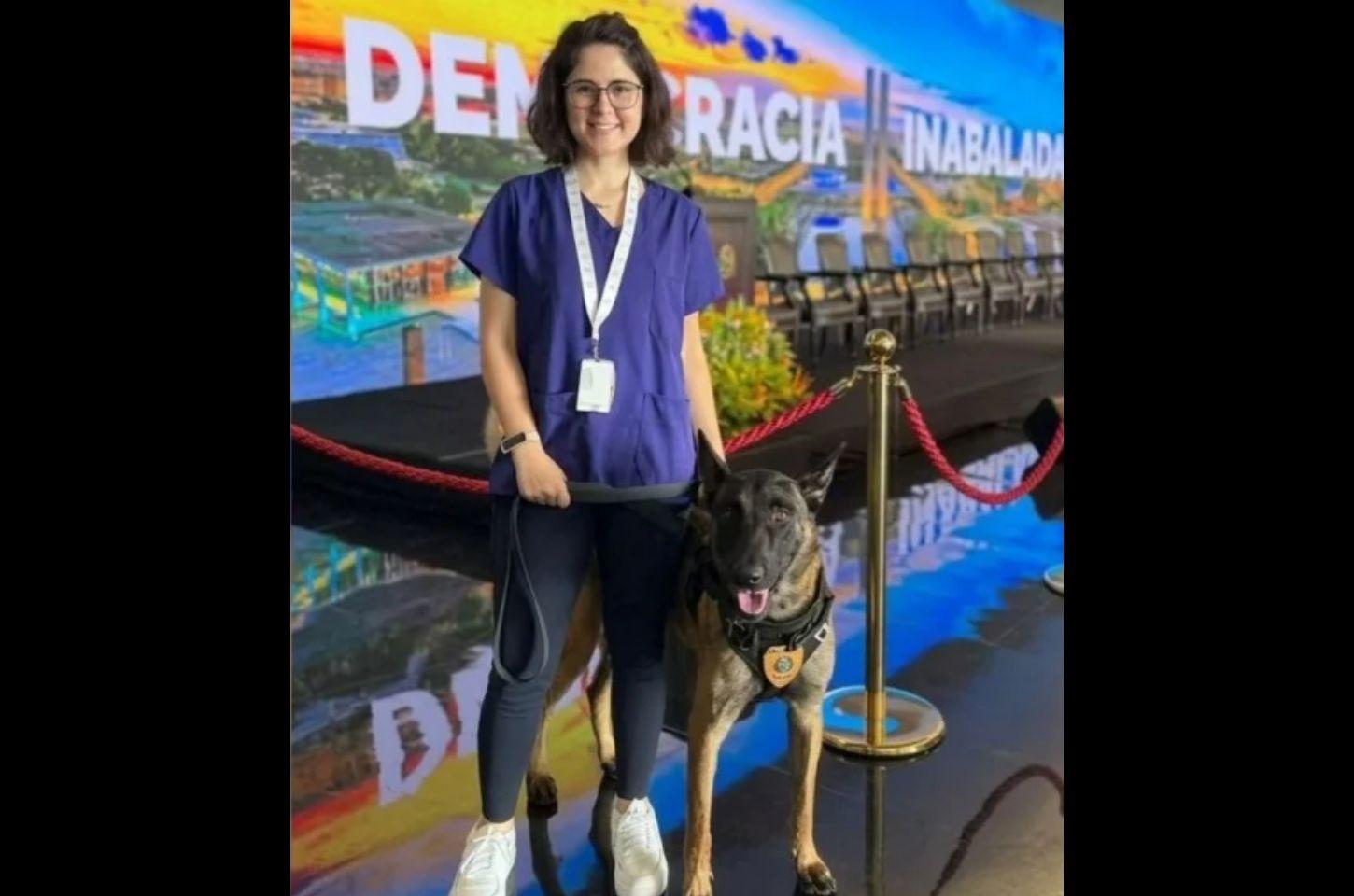 Veterinária fica em estado grave após ataque de cão no canil do Senado