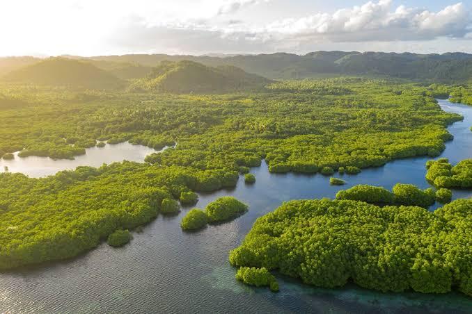 Amazônia reúne mais de 2,7 mil espécies de peixes e tem biodiversidade sob pressão