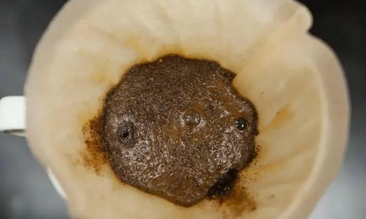 Borra de café e canela podem virar aromatizador caseiro para ambientes