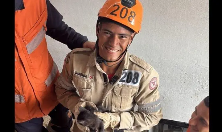Filhote de gato é resgatado após ficar dois dias preso em buraco em Colatina