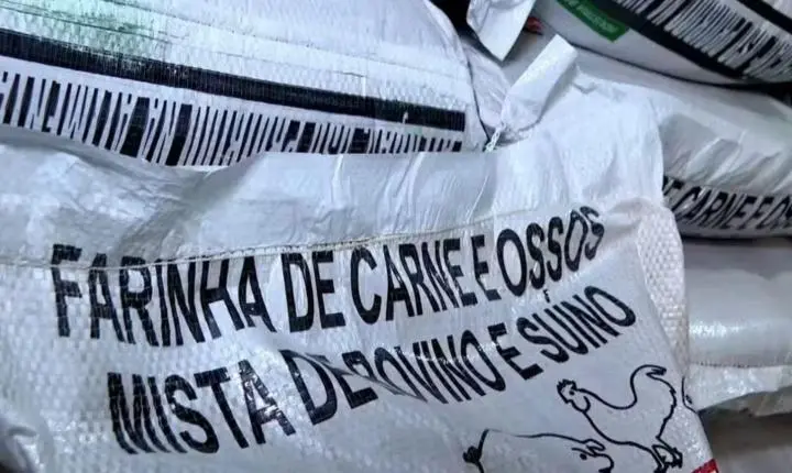 Resíduos de frigoríficos ganham nova função e retornam ao campo como alimento para animais no ES